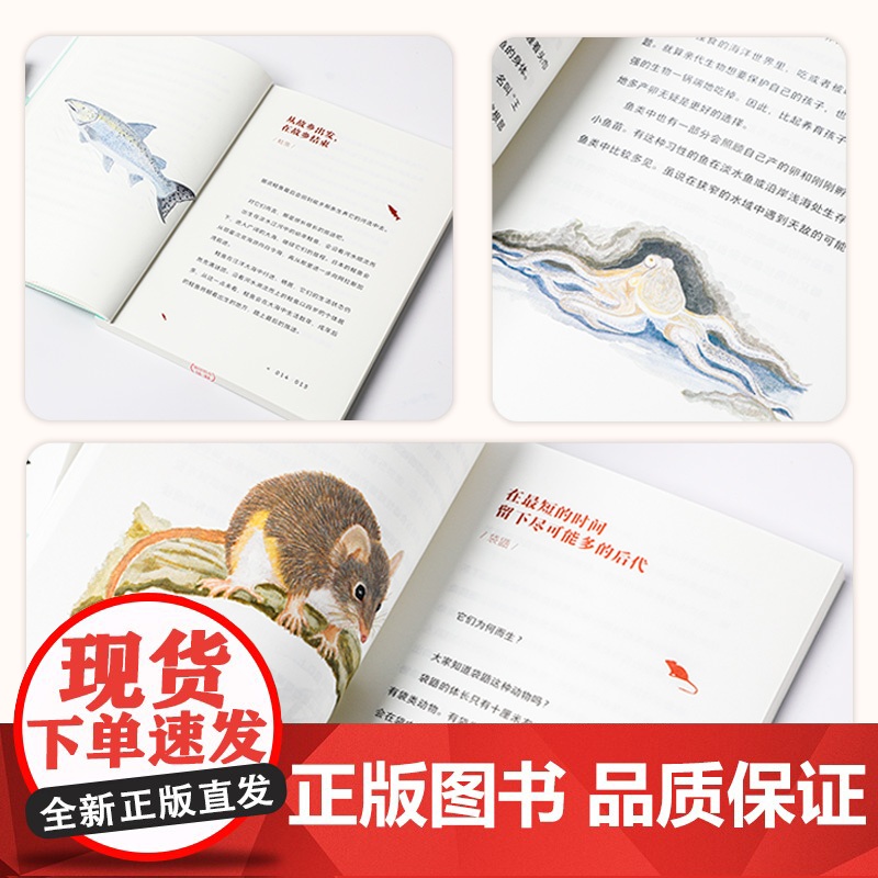 每个生命都重要 29种隐藏进化奥秘的生物 6-8-9-10-12-14-15岁幼儿童中小学生一二三四五六年级课外阅读科普高清大图