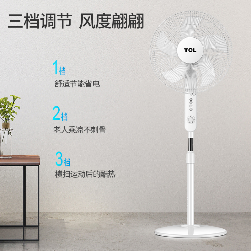 TCL风扇16寸家用定时电风扇 三档调节落地扇 广角摇头电扇 机械款20ED