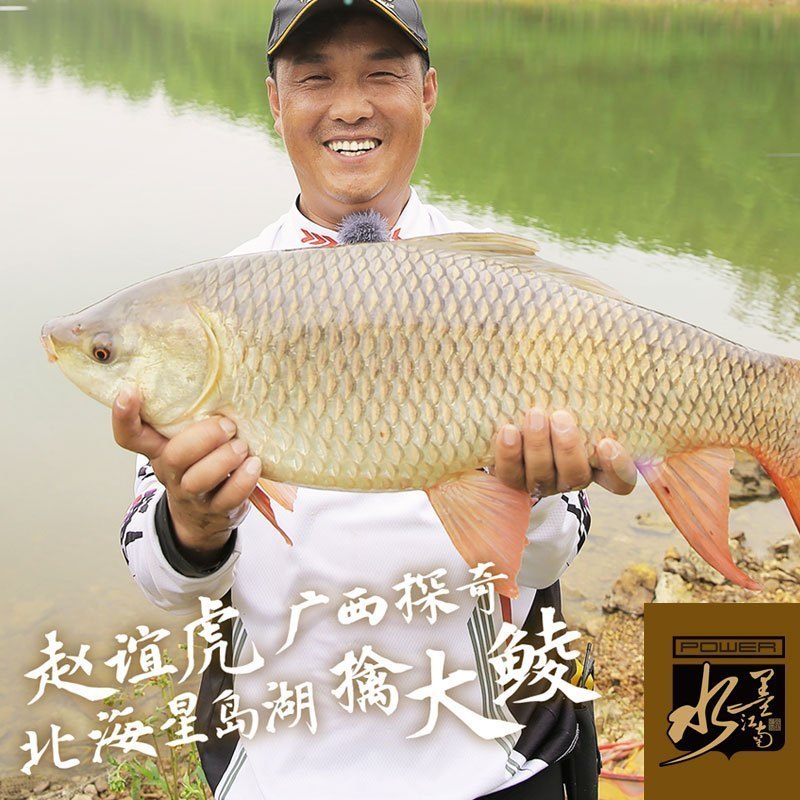 水墨江南鱼竿画 3.6 4.5 5.4 6.3 7.2米台钓竿超轻硬28调鲤鱼手竿竞技黑坑杆