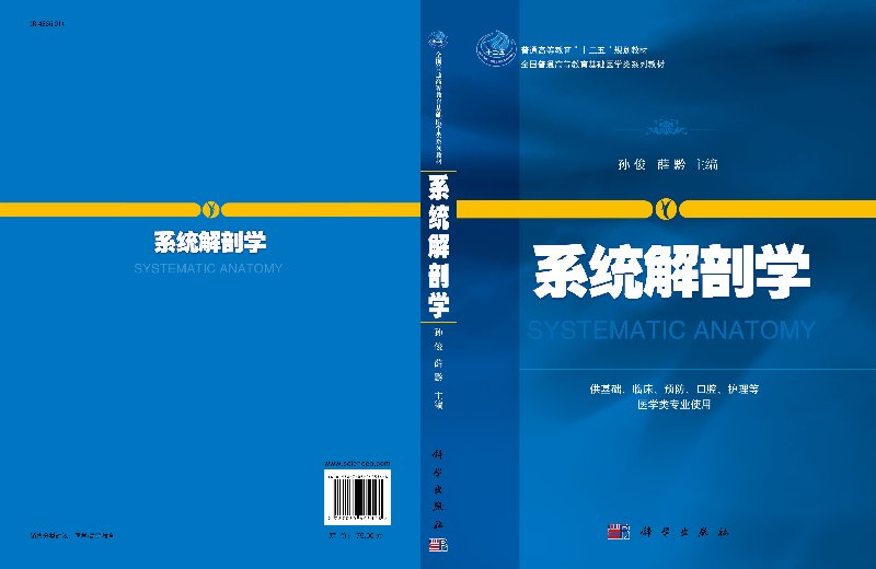 [正版]系统解剖学 供基础 临床 预防 口腔 护理等医学类专业使用 教与学结合 图文并茂 孙俊 薛黔主编 9787030高清大图