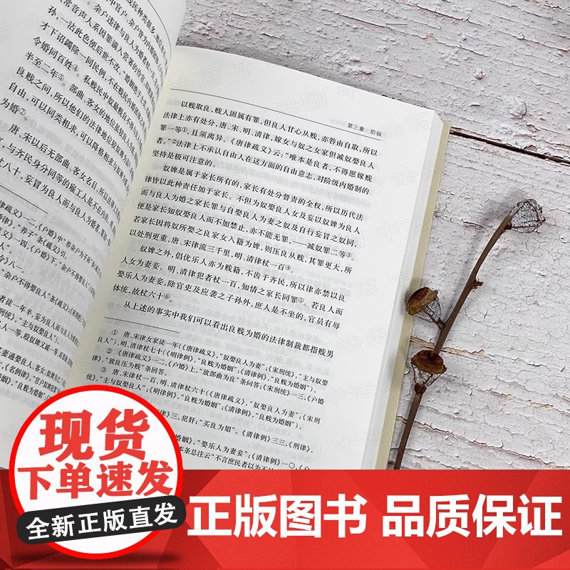 中国法律与中国社会 瞿同祖 商务印书馆 中华现代学术名著 家族婚姻阶级 儒家思想 法家思想 社会史法律史法学理论书籍高清大图