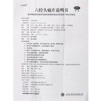 仁源堂 六经头痛片 36片 疏风活络 局部头痛 止痛利窍头疼 药品