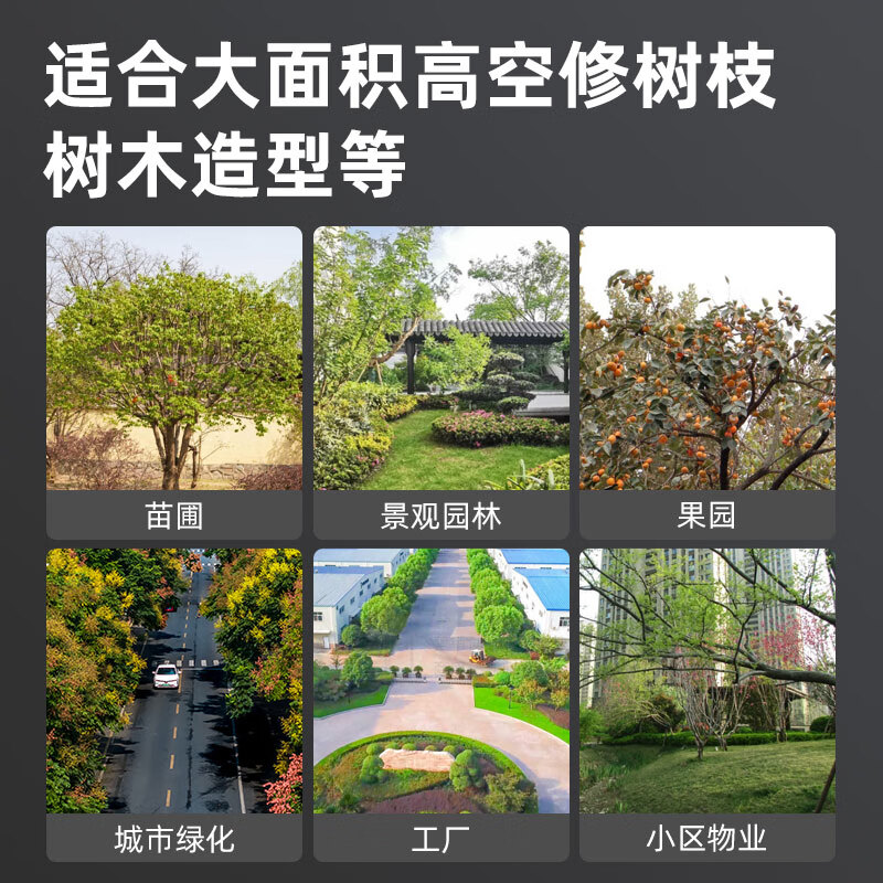 凯姿(KAZZ)汽油高枝锯长杆果树锯园林高空修枝锯KZ526GZ 单位:台高清大图