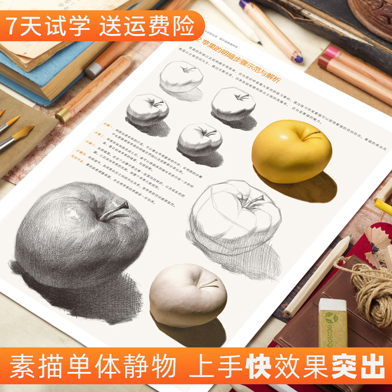 [醉染正版]彦和出版中考素描单个体静物临摹书画册照片书教程材敲门砖范本范画零基础美术初学者画画结构自学对画水果组合攻略绘高清大图