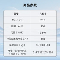 骆驼(CAMEL)驻车锂电池 磷酸铁锂强启动锂电瓶 P205驻车锂电池