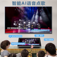 炫宝迪 R10家庭ktv双系统点歌机触摸屏一体机 卡拉OK点唱机家用商用点歌台15.6英寸2T硬盘 微信点歌