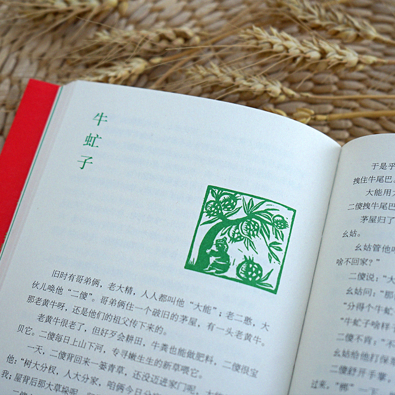 中国故事(全3册) [正版]中国故事 一苇全3册万物人间道路9-14岁中国民间故事五年级读古代民间故事青少年国学经典三四高清大图