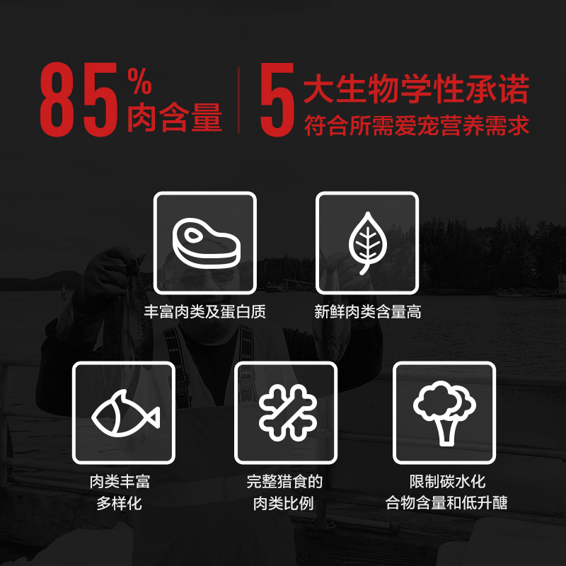 原始猎食渴望Orijen 经典六种鱼全犬粮 6kg加拿大进口成犬幼犬无谷美毛通用性全犬粮