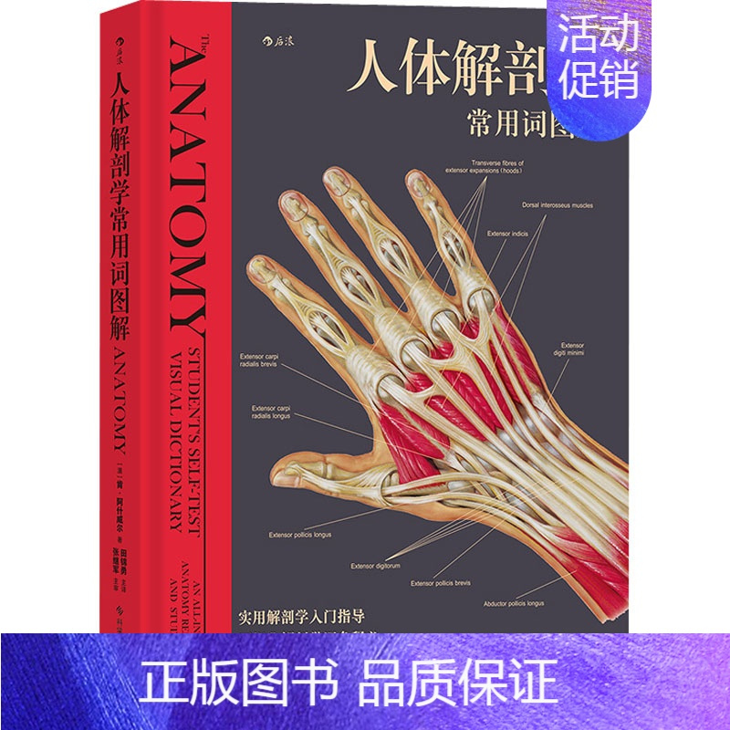 [正版]人体解剖学常用词图解 (澳)肯·阿什威尔 著 田锦勇 译 外科学参考资料图书 医学类专业书籍 科学技术文献出版社