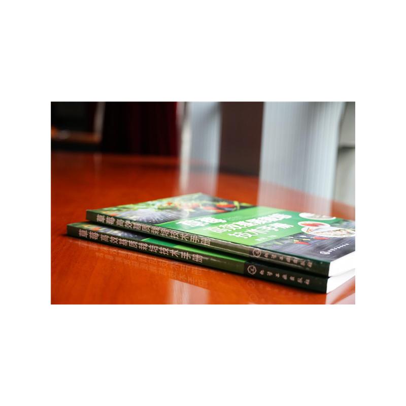 [正版]草莓高效基质栽培技术手册 草莓种植书籍大全农业技术果树种植病虫害图谱与防治栽培技术农业书籍科学实用果树栽培生产