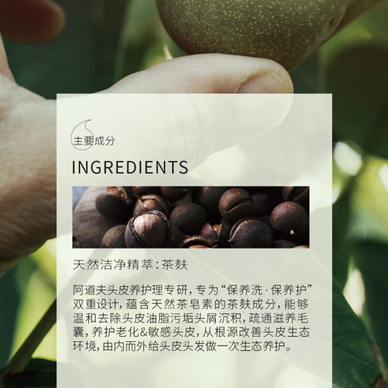 阿道夫（ADOLPH）洗发水 茶麸养护理专研洗发水(丝滑亮泽)300ml