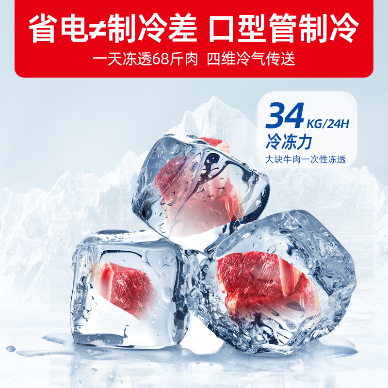 星星(XINGX)400升 商用冰柜冷藏保鲜强劲冷冻超市便利店大容量节能省电家商两用单温冷柜 BD/BC-400R高清大图