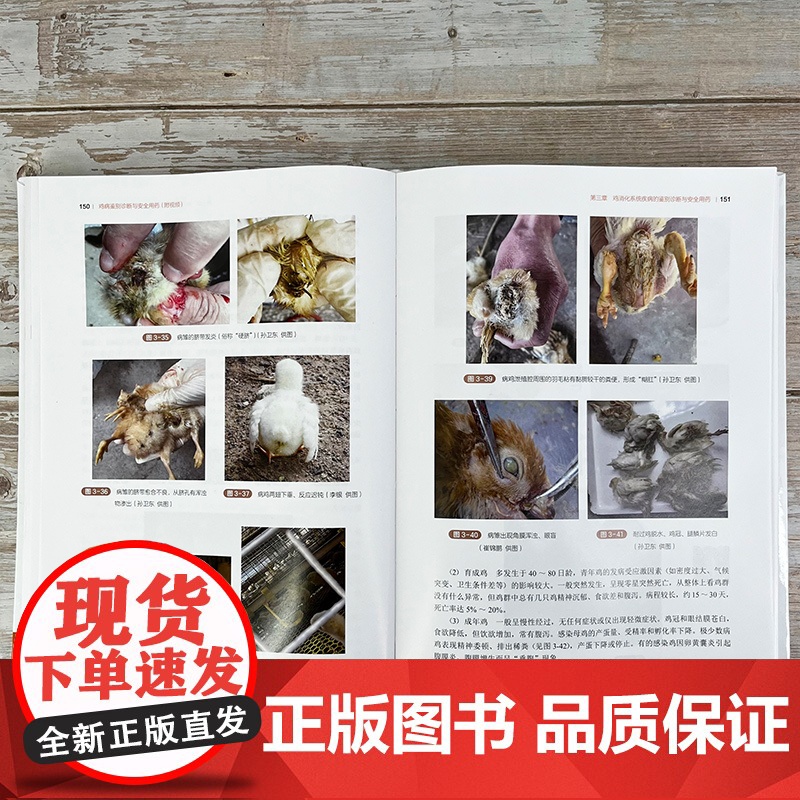 鸡病鉴别诊断与安全用药 附视频 鸡病防治类似疾病鉴别及安全用药综合工具书 鸡病鉴别诊断用药 鸡场兽医 养鸡专业大户应用参高清大图