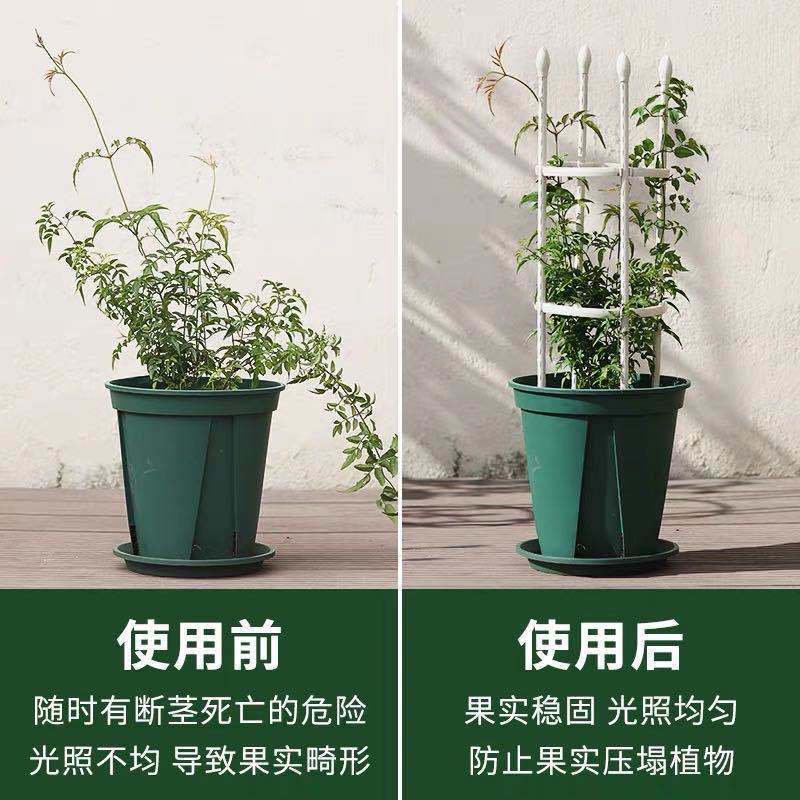 园艺爬藤花支架植物月季铁线莲紫藤支架攀爬花架阳台支撑架8mm 简约(黑色) 直径15高60cm-圈2个