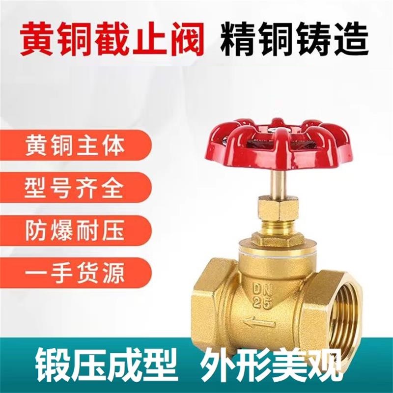 中锦科技 铜截止阀 耐高温截止阀 DN80[3寸] 个