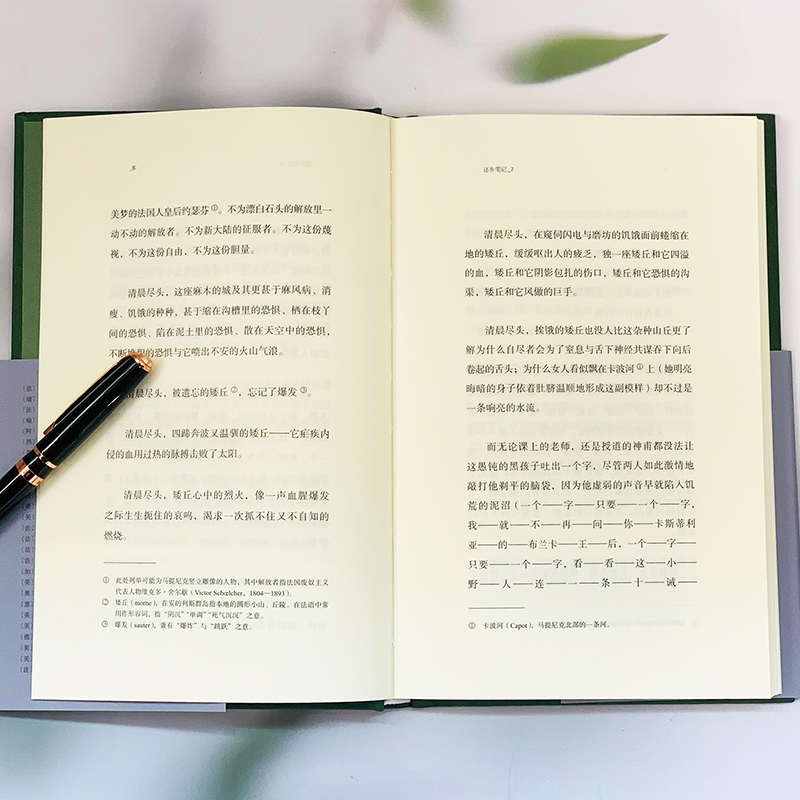 [正版]还乡笔记 (法)埃梅·塞泽尔 著 施雪莹 译 外国诗歌文学 书店图书籍 人民文学出版社高清大图