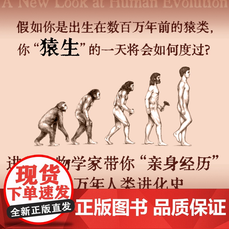 人类如何走到今天 莱斯利纽森 等著 跳出唯基因遗传学论视角 直击史前人类七个阶段的利益权衡与文化进化高清大图