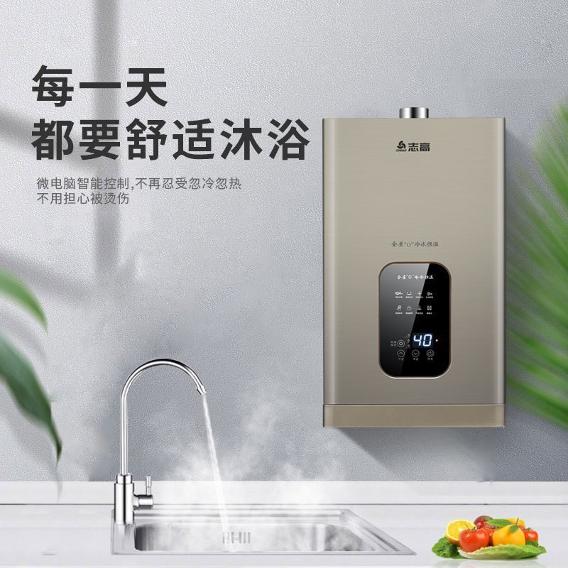 志高(CHIGO)16升燃气热水器零冷水 家用液化气(20Y) 强排式全屋多点供水 16L JSQ31-L1