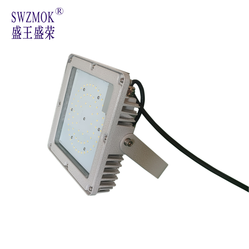 盛王盛荣 LED 平台灯高清大图