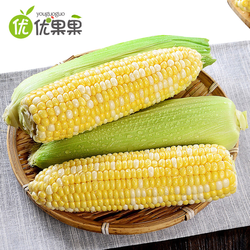 云南水果玉米4.5斤 约4-9根左右新鲜玉米鲜货蔬菜甜脆包谷鲜嫩多汁
