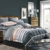 芳恩 FN-Z551 活性澳棉四件套罗马假日