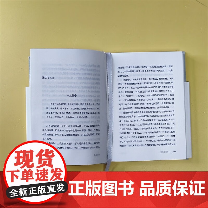 大家小书-宋词赏析(精)高清大图