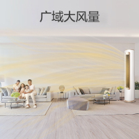 扬子(YAIR)5匹 变频 一级能效 冷暖圆柱空调柜机客厅商铺 KFRd-112LW/(1110912)aBp2-A1