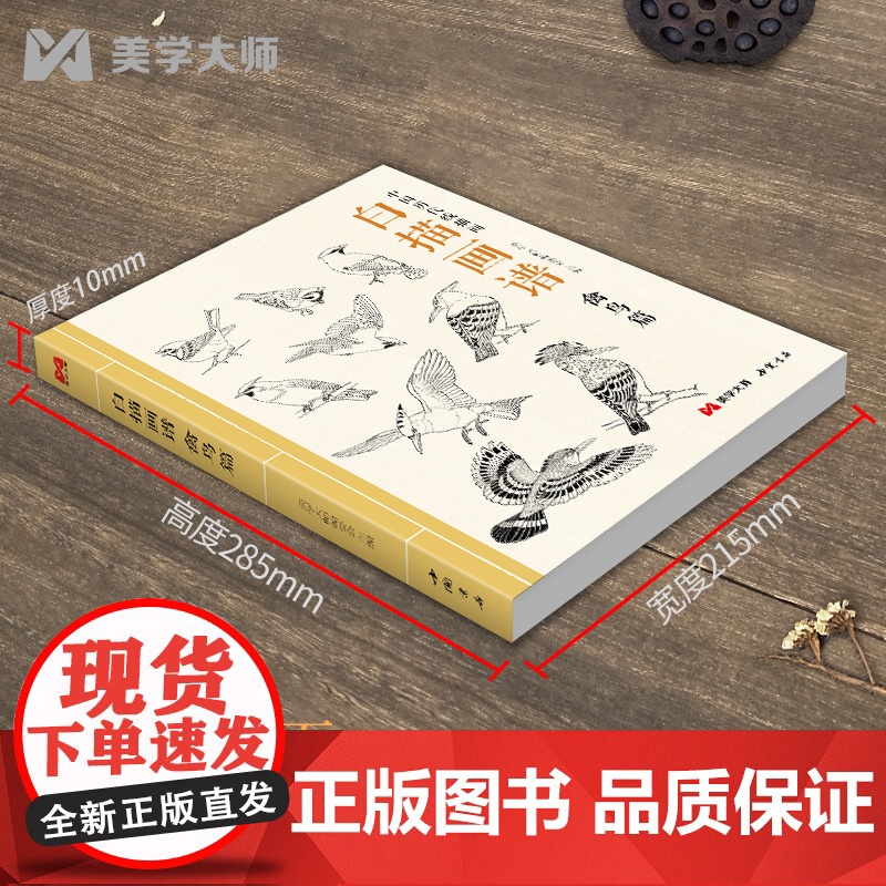 白描画谱 禽鸟篇 中国工笔技法画册集书籍入门初自学者零基础教程材成人手绘临摹勾线名家底稿图大全美术绘画高清大图