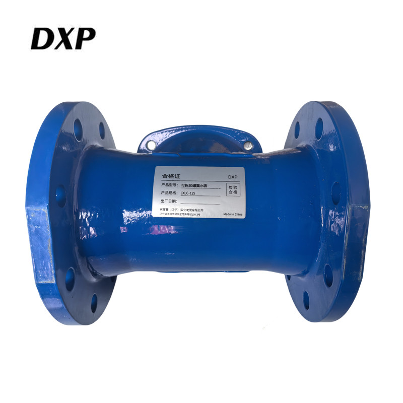 DXP 可拆卸螺翼水表 LXLC-125 块高清大图