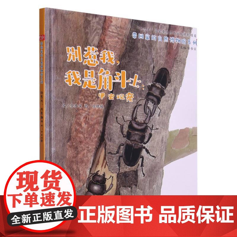 别惹我我是角斗士--甲虫观察(精)/带回家的自然博物馆系列