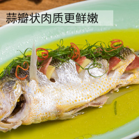 味尔佳 三去黄花鱼大黄鱼新鲜冷冻小海鱼海鲜活生鲜免洗杀去鳞去鳃去内脏袋装450g