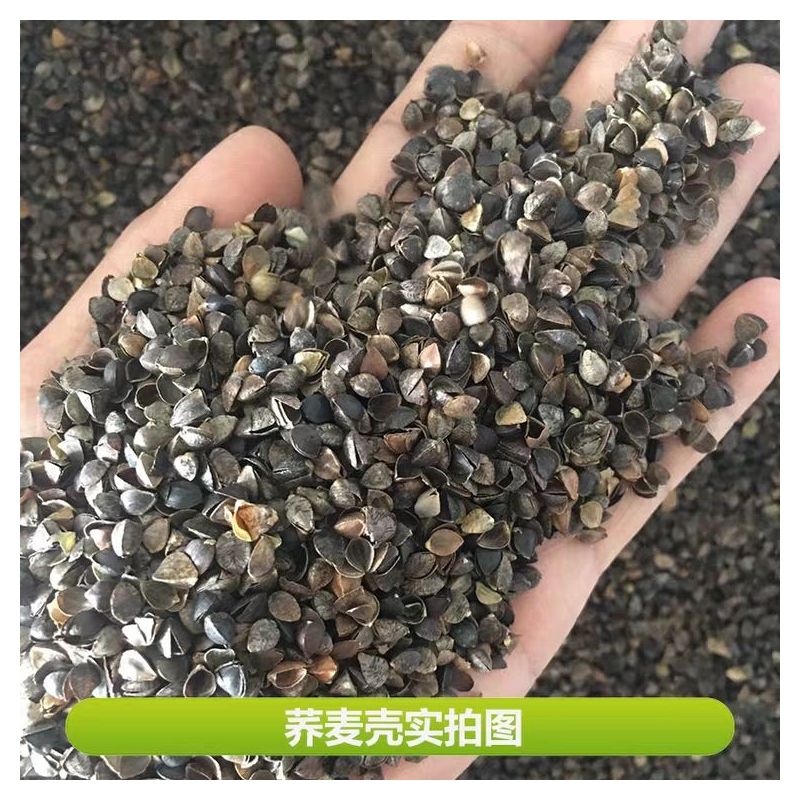 荞麦壳散装荞麦皮棱子皮甜荞麦免洗杀菌新荞麦枕芯枕头填充物枕芯