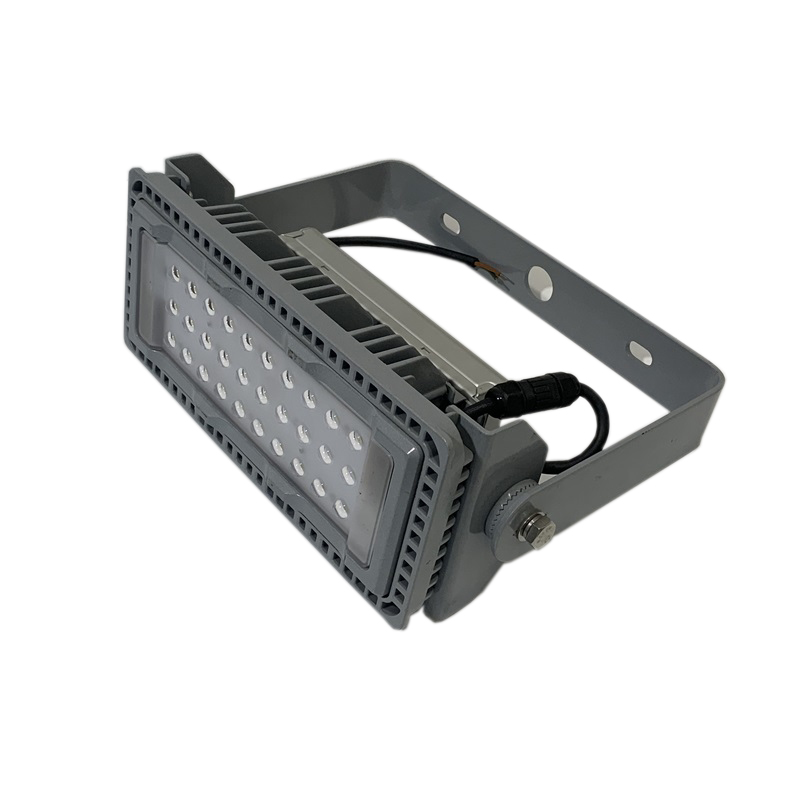 LHDQ 领航电器 LHF2390 LED投光灯 50W 220V 冷光6000K IP65 (计价单位:个)高清大图
