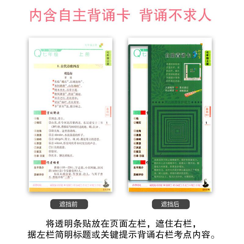 加分宝初中道德与法治 加分宝初中道德与法治知识清单考点解析中考复习资料书2021随身记