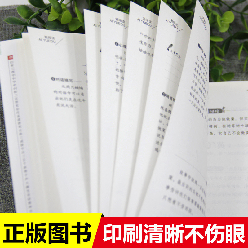 狐狸打猎人 金近 著;立人 主编 著 文教 文轩网