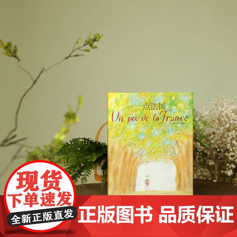 一点法国 [法]桑贝 著 黄小涂 译 桑贝系列 法国国宝级漫画家桑贝代表作 纸上游法国 上海译文出版社 正版高清大图