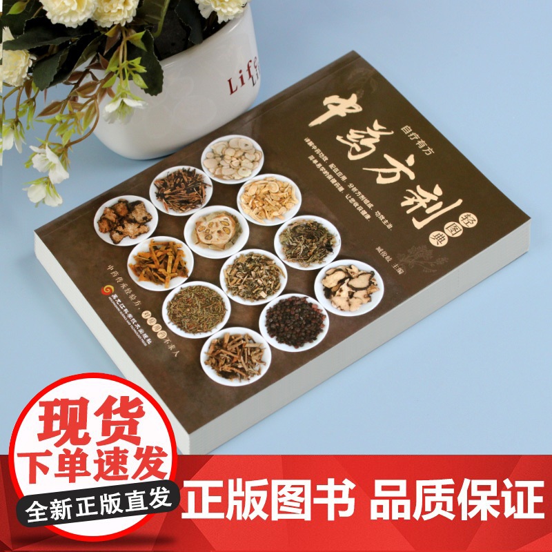 中药方剂轻图典 中药材图鉴大全百科书 中药方剂配伍书籍 常见中药材功效解读中药知识入门中医养生食疗书 对症调理养生药膳食高清大图