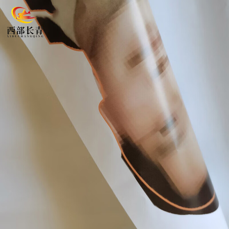 西部长青靶纸打靶纸野战训练用靶纸 JCRZ双头靶 41*54cm 100张高清大图