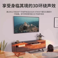 [新品] JBL BAR300 无线蓝牙5.0声道家庭影院音响 家用电视客厅3D环绕声效 杜比全景声 4K传输回音壁音箱