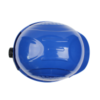 霍尼韦尔/Honeywell H99RA107S H99S安全帽 蓝色(20顶起订)