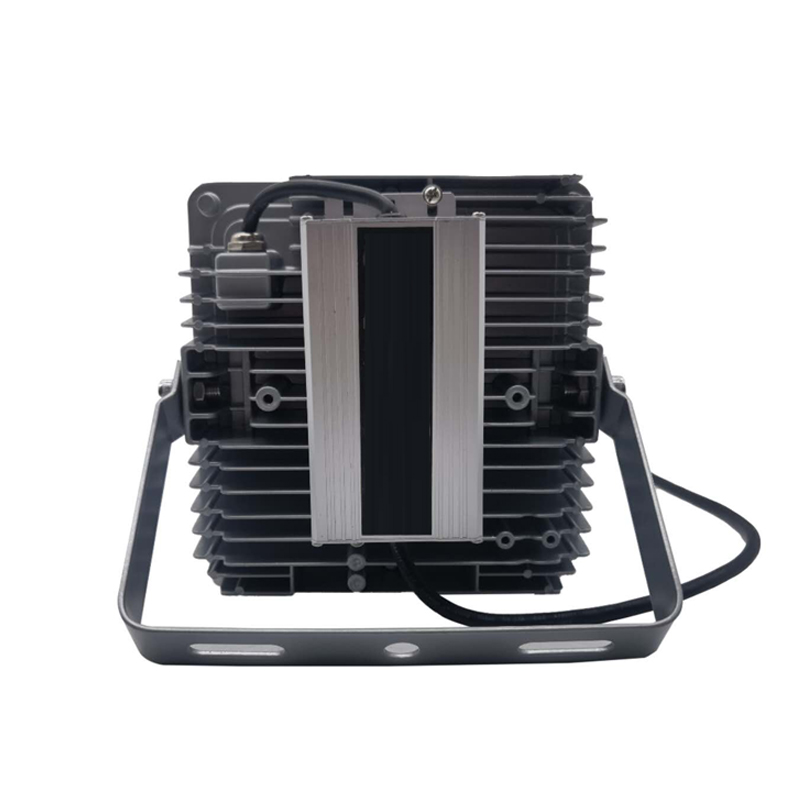驰洛科 CLPT9192-100 220V 100W IP65 平台灯 (计价单位:个) 银灰色高清大图