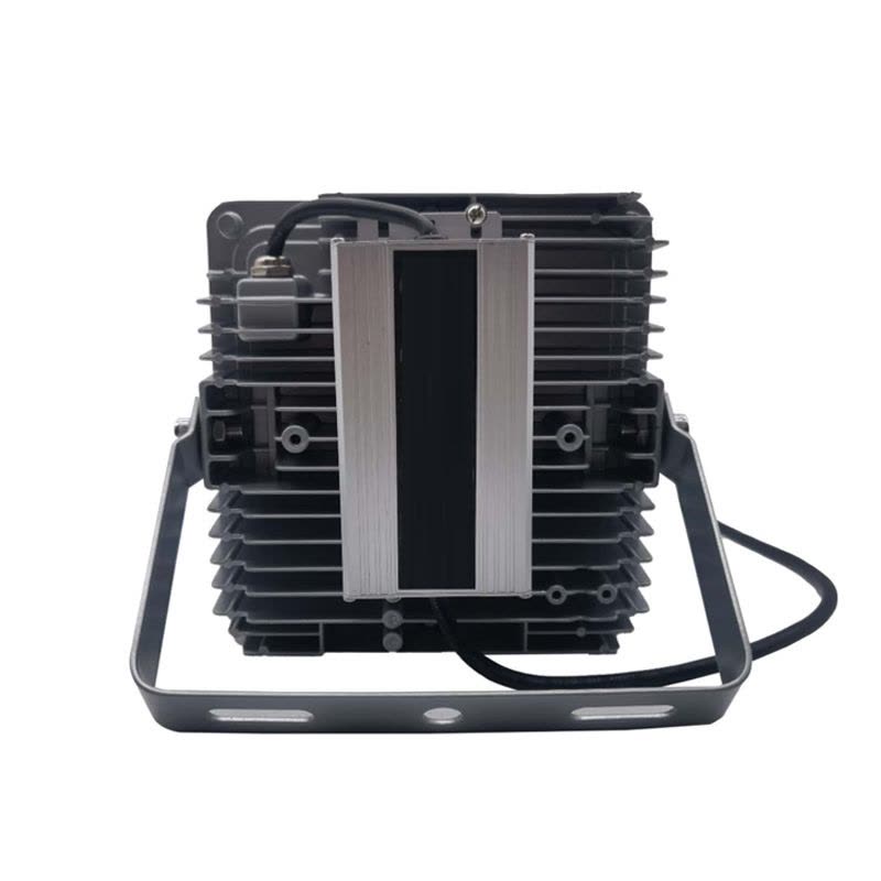 驰洛科 CLPT9192-100 220V 100W IP65 平台灯 (计价单位:个) 银灰色图片