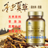 正品冬虫夏草菌丝体胶囊西藏虫草术后恢复中老年滋补品 60粒