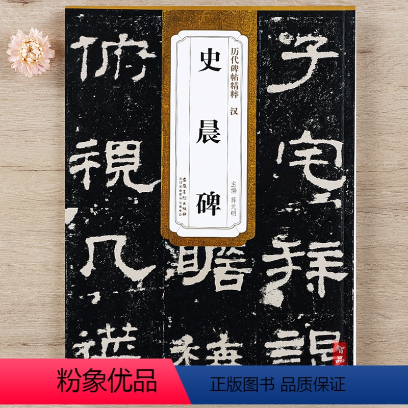 [正版]汉隶 史晨碑 前后碑碑帖 历代碑帖精粹 附技法解析简体旁注 毛笔隶书书法练字帖高清大图