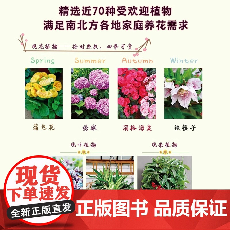 [正版]零基础阳台养花 家庭园艺植物养护室内绿植阳台养花花卉家居植物园艺生活养护技巧花语宜忌 全年花历 病虫害防治高清大图