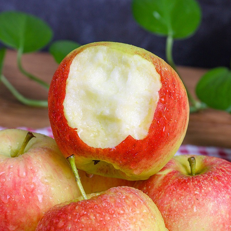 西沛生鲜现摘新鲜水果陕西嘎啦苹果净重85斤当季酸甜苹果西沛