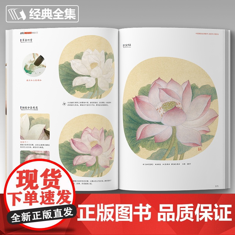 经典全集 正统工笔花鸟技法入门基础教程书籍中国工笔画稿白描勾线牡丹上色涂色宋画临摹册初自学者名家手绘教材 杨建飞主编SH