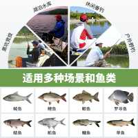 本汀（BenTing） 印第安绿水钓鱼小药垂钓用品鲤鱼鲫鱼饵料野钓黑坑鱼饵液体小药/添加剂渔具