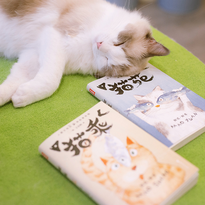 [正版] +贴纸+猫儿契+书签猫苑猫乘上下2册套装吸猫必 备 所有铲屎官的必读经典 带您看透猫的808个小秘密高清大图
