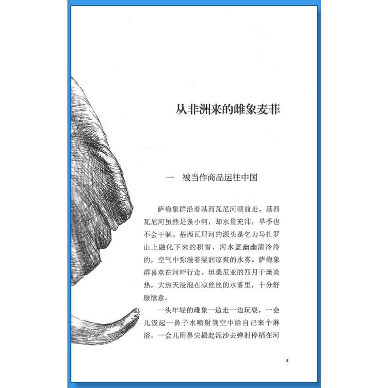 狼王梦 [正版]象母怨沈石溪小学四年级五年级全集全套书浙江少年儿童出版社非注音版完整版动物小说大王品藏书系小学生课外阅读